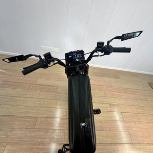 Bicicleta Eléctrica de Nieve para 2 Personas con Reposapiés, Neumáticos Gruesos de 20*4.0 Pulgadas, 48V, Estilo Retro Urbano, Bicicleta Eléctrica para Adultos, Stock en EE. UU., SK-2 City E-bike para Adultos - Product Image 5