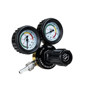 Regulador de Presión de Propano Aoteer YQW-02 de Doble Manómetro Tipo Diafragma para Válvulas de Gas Natural y GLP - Product Image 1