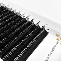 Abonnie Wholesale C D CC DD Curl Warna Hitam Wet Look Lashes Natural Curling Wet Lashes Extensions