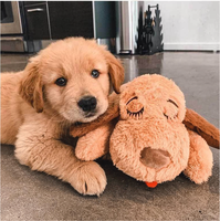 Jouet en peluche pour chien avec simulation de battement de cœur pour soulager l'anxiété des animaux de compagnie, aide au sommeil apaisante pour chiots avec module interactif de battement de cœur