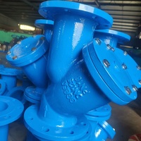 Vanne de filtre de type Y de haute qualité en fonte ductile DN25 Pn1.6 vannes à bride en fonte pour crépine d'eau