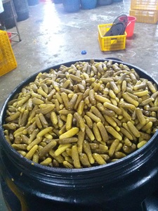 WHOLESALE PRICE Pickled Gherkin <b>Cucumber</b> Best Grade Reliable Supplier 720ml 500ml Jar - Product Image 6