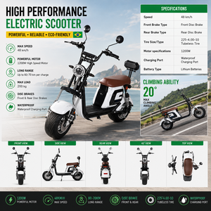 มอเตอร์ไซค์ดูดซับแรงกระแทกแบบคู่60V 1000W ทนทานต่อการกัดกร่อนตะขอตัว X16แรงบิดสูง - Product Image 6