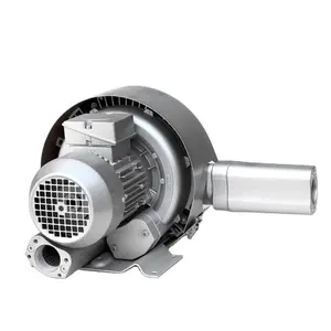 Industriële 1Hp Dubbele Stage Vortex Benzinepomp Wortels Zijkanaal Centrifugaal Blower Voor Cnc Meubels Of Houten Deur Machine