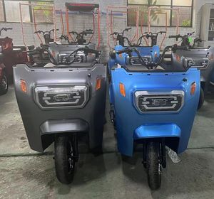 Tricycle électrique pour passagers, vélo à trois roues pour adultes, scooter électrique, <span class=keywords><strong>taxi</strong></span> avec toit - Product Image 4