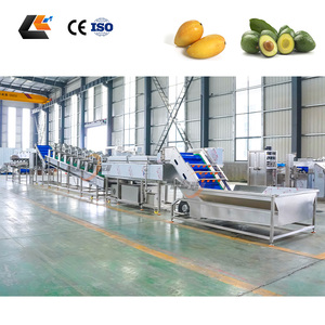 Ligne de production de brosses de lavage pour choux, nettoyeur d'avocats, trieuse d'oignons, laveuse de fruits de la passion et de carottes bébé - Prix usine - Product Image 1