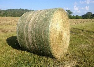 Kích thước tùy chỉnh Silage phim nhựa Bale bọc Net cho hay Bale Net bọc cho Silage lưu trữ - Product Image 2