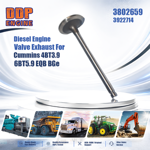 Válvula de Escape del Motor 3802659 3922714 para Maquinaria de Construcción, Compatible con Cummins 4BT3.9 6BT5.9 EQB BGe - Product Image 2