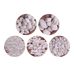 Galets décoratifs : Améliorez les jardins de villas, les paysages d'hôtels, les plantes en pot, les éléments aquatiques avec des pierres non toxiques et durables - Product Image 1