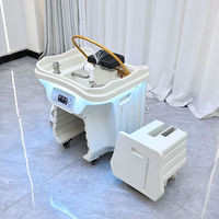 Winplus Beauty – Bassin de lavage portable pour salon de coiffure, évier de shampoing sans plomberie, équipement japonais de spa capillaire