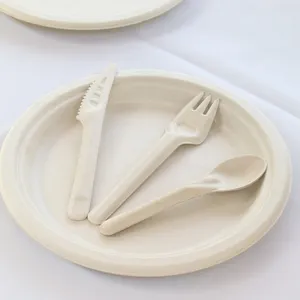 Disposable Tableware Biodegradable Waterproof Cutlery Set Food Serving Soup Bagasse Chinese Spoon