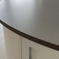 Table de laboratoire moderne avec structure en acier, plan de travail phénolique résistant aux produits chimiques, ensemble de mobilier de laboratoire pour salle de classe scientifique scolaire et atelier