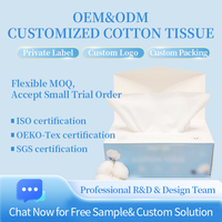 Serviettes jetables en coton biodégradables personnalisées en boîte XL pour salon de beauté et démaquillage – Fabrication OEM