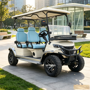 Carrito de Golf Eléctrico de 2+2 Plazas con Parrilla Delantera Personalizada y Atractiva, Acabado Lateral Moderno, Vehículo de Golf para Uso en Clubes de Ocio - Product Image 1