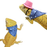Chapeau de cowboy pour dragon barbu, bandana, costume de lézard, tenue de transformation pour reptile, chapeau drôle, écharpe, imprimé gecko, polyester