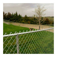Piquet en acier galvanisé revêtu de PVC/Panneaux et portails de jardin-Durable pour clôture extérieure/commerciale