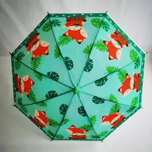 Зонты прозрачные с принтом