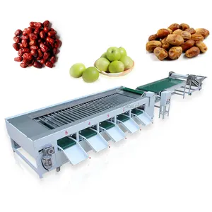 Clasificación automática del tamaño de la patata máquina clasificadora de batatas clasificadora radial y máquinas de línea de nivelación Precio de equipo para la venta