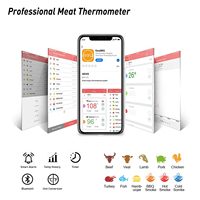 Termometer Daging Digital WiFi Outdoor 30 Meter Smart untuk BBQ, Probe Stainless Steel, Baterai, IP65, OEM