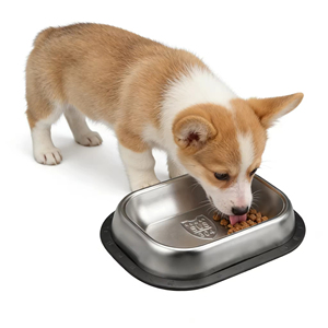 Nicety - Comedero para Perro Rectangular Personalizado Antideslizante de Acero Inoxidable 304 Ecológico, Diseño Moderno y Portátil para Comida de Perro Regular - Product Image 3