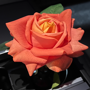 Commercio all'ingrosso di alta qualità reale tocco artificiale polveroso <span class=keywords><strong>rosa</strong></span> Rose in lattice di caffè, vero tocco idratante <span class=keywords><strong>rosa</strong></span> fiori artificiali - Product Image 3