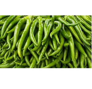Chile Verde de Grado Exportación, Pimiento Picante Fresco para Servicios de Alimentación y Distribución Comercial - Product Image 2