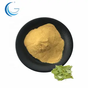 Senna Leaf Extract Powder High Quality Senna Leaves Extract/folium Sennae Extract