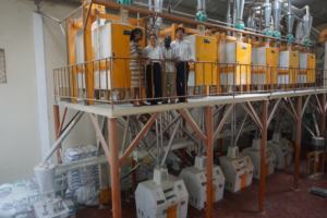 Ligne <span class=keywords><strong>complète</strong></span> de traitement du maïs 50T, usine de moulin à <span class=keywords><strong>farine</strong></span> de maïs, projet clé en main, entretien facile, économique - Product Image 5