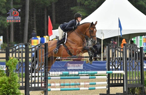 <strong>Aluminum</strong> <strong>Jump</strong> Stands Horse <strong>Show</strong> Jumping <strong>Jumps</strong> Schooling Stands - Product Image 2