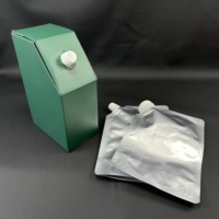 Sac en papier personnalisé de 1 L avec bec verseur, en aluminium, pour thé en sachet, boissons chaudes au café, avec bouchon à vis