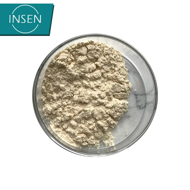 Insen Provide Top Quality Aloe Vera Powder