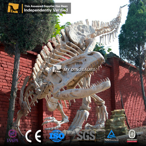 Mi <span class=keywords><strong>DINO</strong></span> DS-038 juegos tamaño <span class=keywords><strong>T</strong></span>-<span class=keywords><strong>Rex</strong></span> dinosaurio esqueleto de atracción - Product Image 1