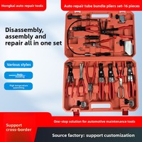 Ensemble de 16 pinces à collier pour tuyaux professionnelles, kit d'outils complet pour mécanicien automobile avec pinces flexibles pour fils et conduites de carburant