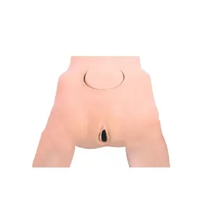 DARHMMY Obstetrics and Gynaecology Training Pelvic Measurement Model Female for Medical Science