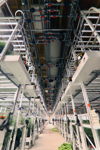 מתלה לגדול ניידת מקורה מערכת גידול הידרופונית - Product Image 6