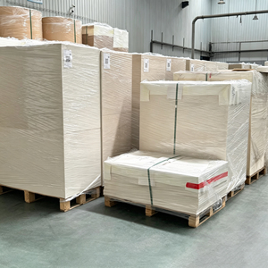 Factory Wholesale PE Laminated Paper Cup <b>Sheet</b> 240GSM 260GSM Virgin Wood Pulp Bulk Raw <b>Material</b> for Disposable Paper Cup Bowl - Product Image 3