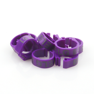 8mm <span class=keywords><strong>10mm</strong></span> פלסטיק יונה רגל רגל טבעות כידון דיגיטלי טבעת פתוח carrier מרוצי יונים יונה עם מילה רגל טבעת - Product Image 6