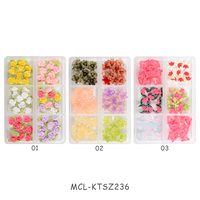 Fleur 3D Nail Art Résine Fleur Nail Art Charms Box Kawai Nail Art Flower for Spring New Designs Charms