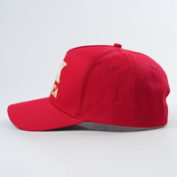 Casquette de baseball snapback 5 panneaux brodée à visière incurvée, taille unique, style streetwear, logo personnalisé, multicolore, fabrication OEM