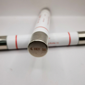 ฟิวส์แบบเป่าเร็ว A480T4E 4.8KVAC 4A ขนาด 20.60 มม. x 143.00 มม. ฟิวส์ชนิด E-RATED สำหรับป้องกันหม้อแปลงไฟฟ้าแรงสูงและแรงกลาง - Product Image 1