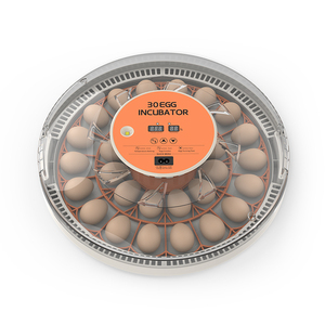 WONEGG 2024 Nouveau modèle Incubateur automatique à température contrôlée 30H pour <span class=keywords><strong>30</strong></span> œufs de poule avec testeur d'œufs LED <span class=keywords><strong>Prix</strong></span> compétitif - Product Image 1
