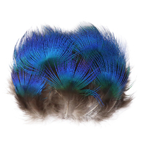 Vraie plume de paon naturelle pour la maison, 1 pièce, 3-8 cm, accessoires unités, plumes de paon, pour conception de bijoux artisanaux, vente en gros