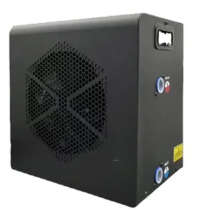 Ijsbad Sportterugwinning Water Chiller Koude Dompelbak Watertherapie Elektrische Koude Duik Water Chiller Warmtepomp Chiller