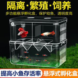 Boîte d'incubation pour aquarium, rectangulaire, transparente, avec double trou d'alimentation, conçue pour l'éclosion et la reproduction des alevins - Product Image 5