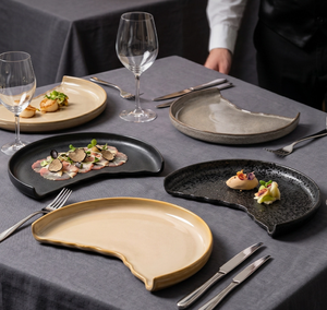 Platos de Cerámica Irregulares Únicos 2026 - Vajilla de Alta Gama para Restaurantes al por Mayor - Product Image 6