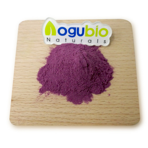Aogubio Supply Plant extractt Em Pó Açaí <span class=keywords><strong>Berry</strong></span> Em Pó Natural Orgânico Açaí <span class=keywords><strong>Berry</strong></span> Em Pó - Product Image 6