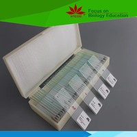 Ourself factory individual Skeletal Muscle l.s and c.s prepared microscope slide