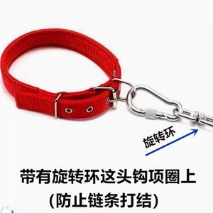 Laisse pour chien en acier inoxydable, taille moyenne, durable, pour une utilisation sur l'herbe ou sur le sol dur - Product Image 4
