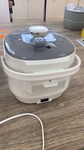 Quart-<span class=keywords><strong>olla</strong></span> a presión eléctrica multifunción para arroz <span class=keywords><strong>olla</strong></span> interior antiadherente, 2,5 V, 220V, para cocina y hogar, tamaño Mini, DPC-250, 120 <span class=keywords><strong>litros</strong></span> - Product Image 3