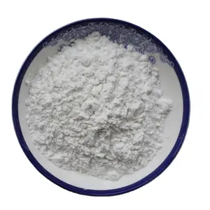 Materia prima ZSM 5 Zeolite filtro detersivo in polvere elevata purezza SAPO 34 catalizzatore Zeolite SAPO34